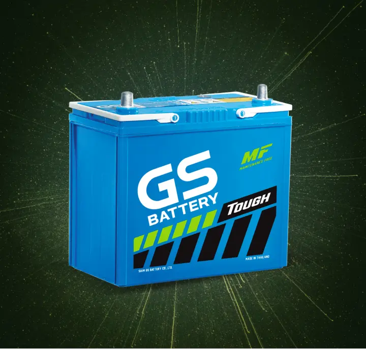 Gs-battery1